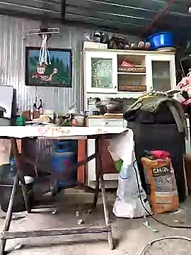 Sarpe84 online show from 24, 1, 2025