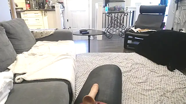 Snapshot of AssmannCD chatting on 18, 2, 2025 AssmannCD online show from 18, 2, 2025