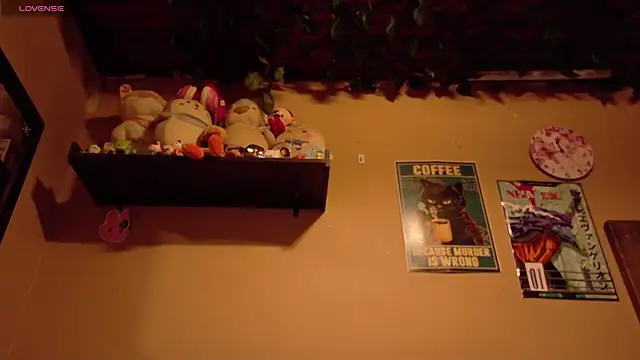 maryberry   online show from 2, 10, 2025