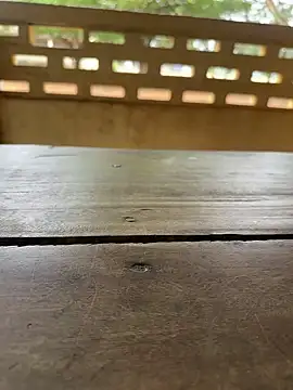 Snapshot of Black-mamba-madingo chatting on 29, 9, 2025 Black-mamba-madingo online show from 29, 9, 2025