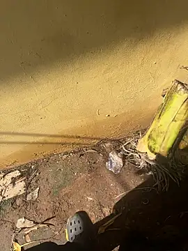 Snapshot of Black-mamba-madingo chatting on 10, 10, 2025 Black-mamba-madingo online show from 10, 10, 2025