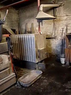 MityaXLoves online show from 17, 4, 2026