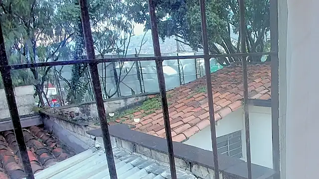 barbara cambels online show from 27, 9, 2025