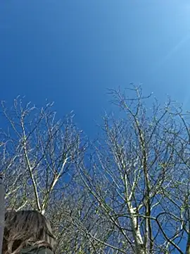 LydiaMaus96 online show from 21, 4, 2026