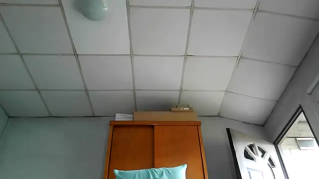 nicedick bro online show from 27, 7, 2026