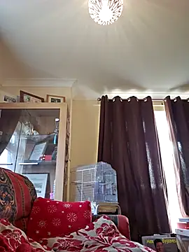 meateater1 online show from 20, 11, 2025