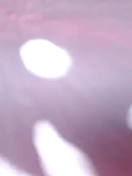 Priya Bong online show from 16, 12, 2025