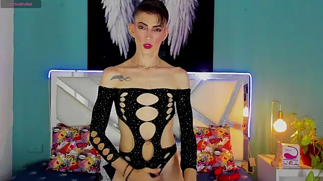 dominic thailor online show from 4, 3, 2025