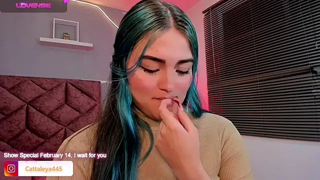 cattaleya    online show from 13, 2, 2025