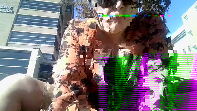 HeyyImHarlowe online show from 30, 9, 2025