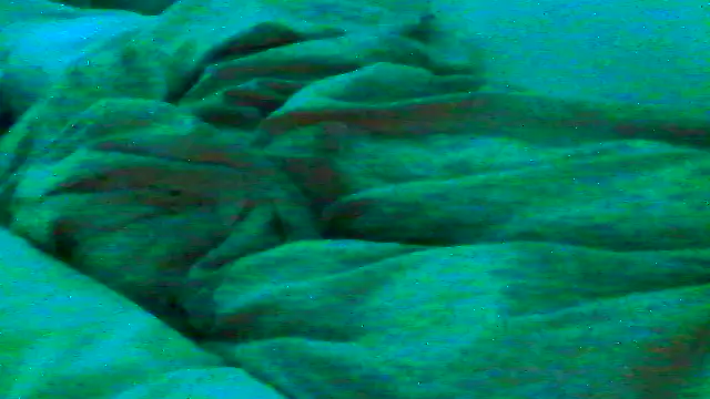 Snapshot of Everydayonli chatting on 16, 1, 2026 Everydayonli online show from 16, 1, 2026