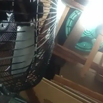 Miguel16i online show from 22, 4, 2026