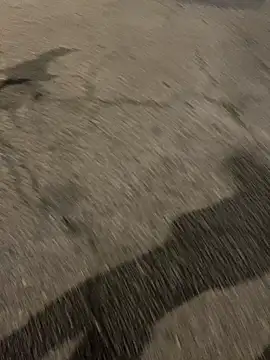 ToAnWTW online show from 24, 2, 2026