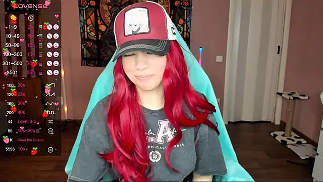 Project hisoka online show from 2, 1, 2025