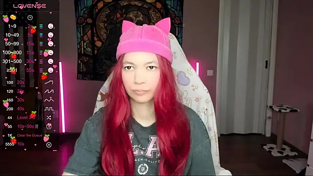 Project hisoka online show from 17, 1, 2025