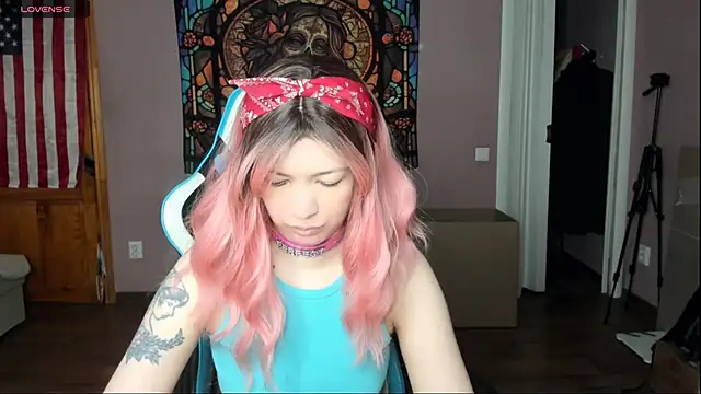 Project hisoka online show from 22, 4, 2026