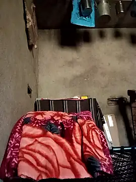 Yasha 14C Creator online show from 11, 1, 2026