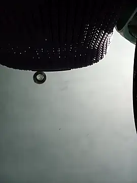 Snapshot of ladygmusic chatting on 6, 1, 2026 ladygmusic online show from 6, 1, 2026