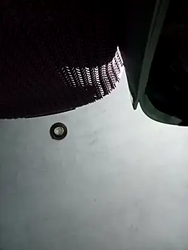 Snapshot of ladygmusic chatting on 2, 2, 2026 ladygmusic online show from 2, 2, 2026