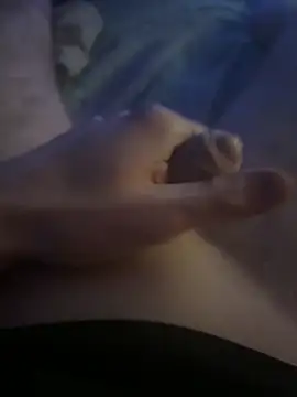 Bi1995 online show from 29, 4, 2026