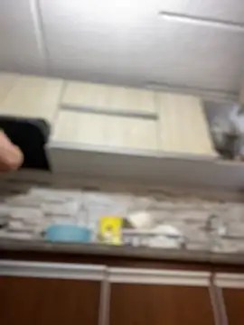 Salome golvert online show from 2, 3, 2025