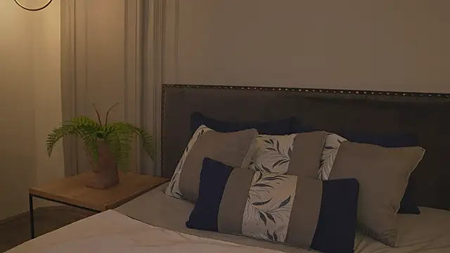 IrisBaker online show from 12, 2, 2026