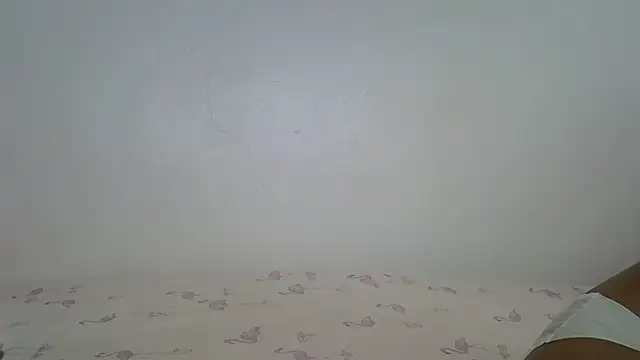 laetitia  online show from 24, 4, 2026