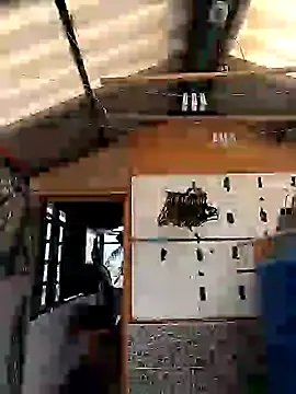 rebekka simpson online show from 9, 3, 2025