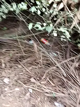 RockyNonStop online show from 24, 12, 2024