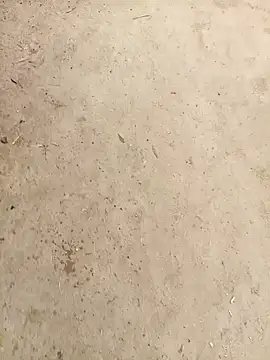 RockyNonStop online show from 3, 1, 2025