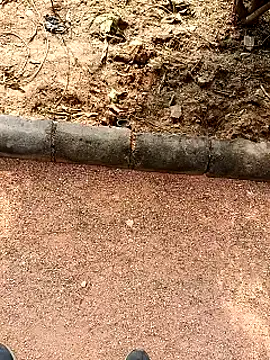 RockyNonStop online show from 19, 1, 2025