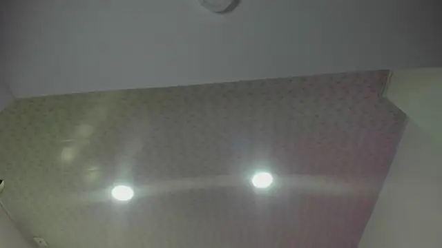 cute hollywood online show from 24, 4, 2026