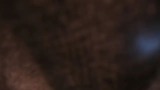 AliceHanz online show from 8, 1, 2026