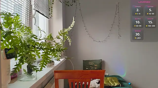 monlight  dana online show from 27, 1, 2025