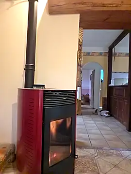 SpiceLea online show from 3, 3, 2026