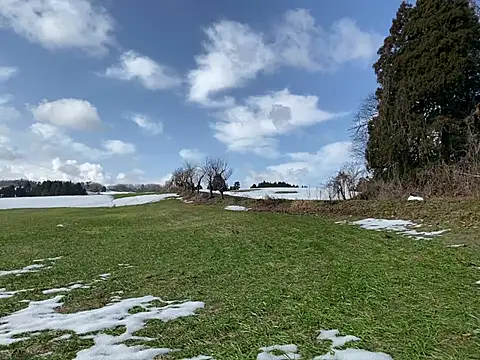 ge3noxxx online show from 6, 3, 2025