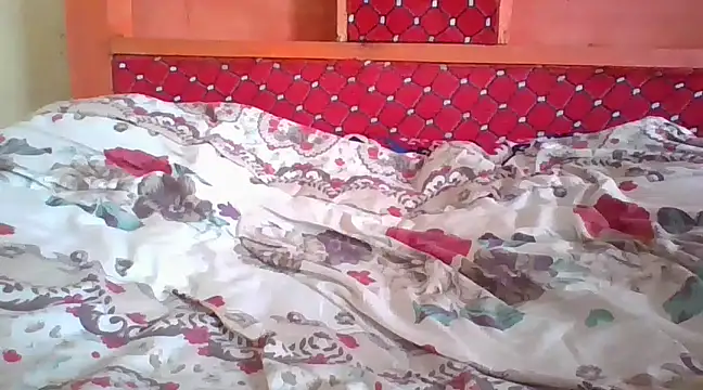 petitev online show from 10, 12, 2024