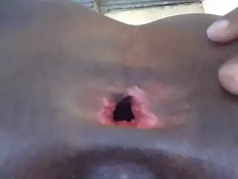 petitev online show from 16, 12, 2024