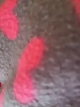 Noviostoxico online show from 15, 1, 2026