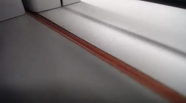 Snapshot of Lovensetest chatting on 25, 2, 2025 Lovensetest online show from 25, 2, 2025