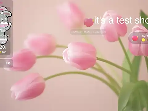 Snapshot of Lovensetest chatting on 11, 11, 2025 Lovensetest online show from 11, 11, 2025