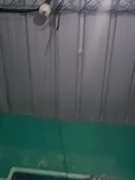 Cris29 84 online show from 24, 2, 2026