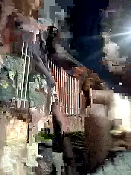 Gutierrez6383 online show from 21, 4, 2026