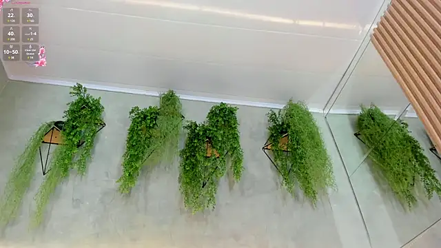 Snapshot of Lana_Lann chatting on 11, 1, 2025 Lana Lann online show from 11, 1, 2025