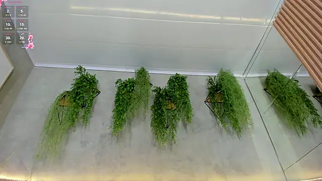 Snapshot of Lana_Lann chatting on 15, 3, 2025 Lana Lann online show from 15, 3, 2025