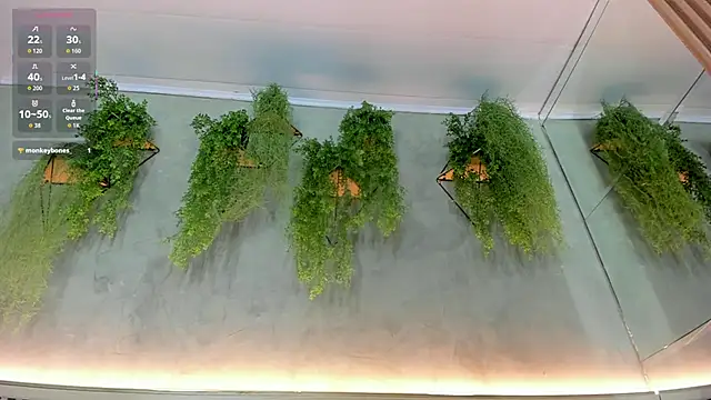 Snapshot of Lana_Lann chatting on 22, 9, 2025 Lana Lann online show from 22, 9, 2025