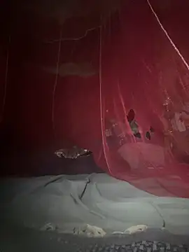 amy gata online show from 17, 2, 2026