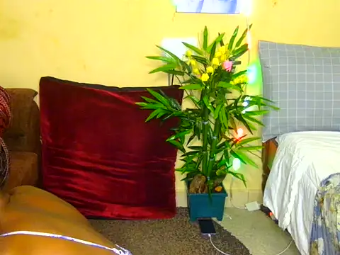 Naughtygal98 online show from 7, 7, 2026