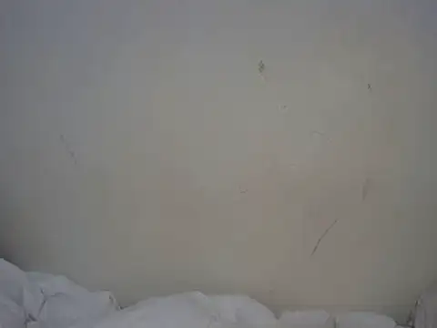 ebony curvedass online show from 10, 9, 2025