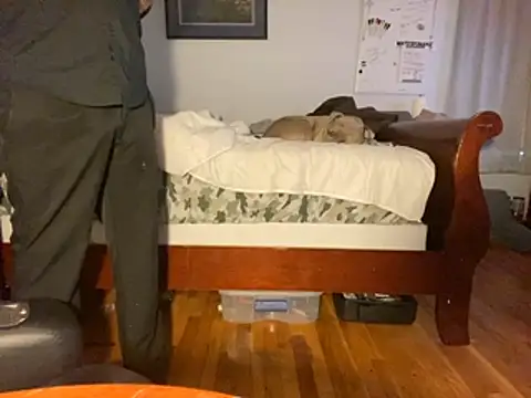 flexingplexico online show from 14, 1, 2026